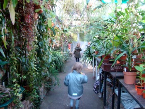 Stroll through the greenhouses...